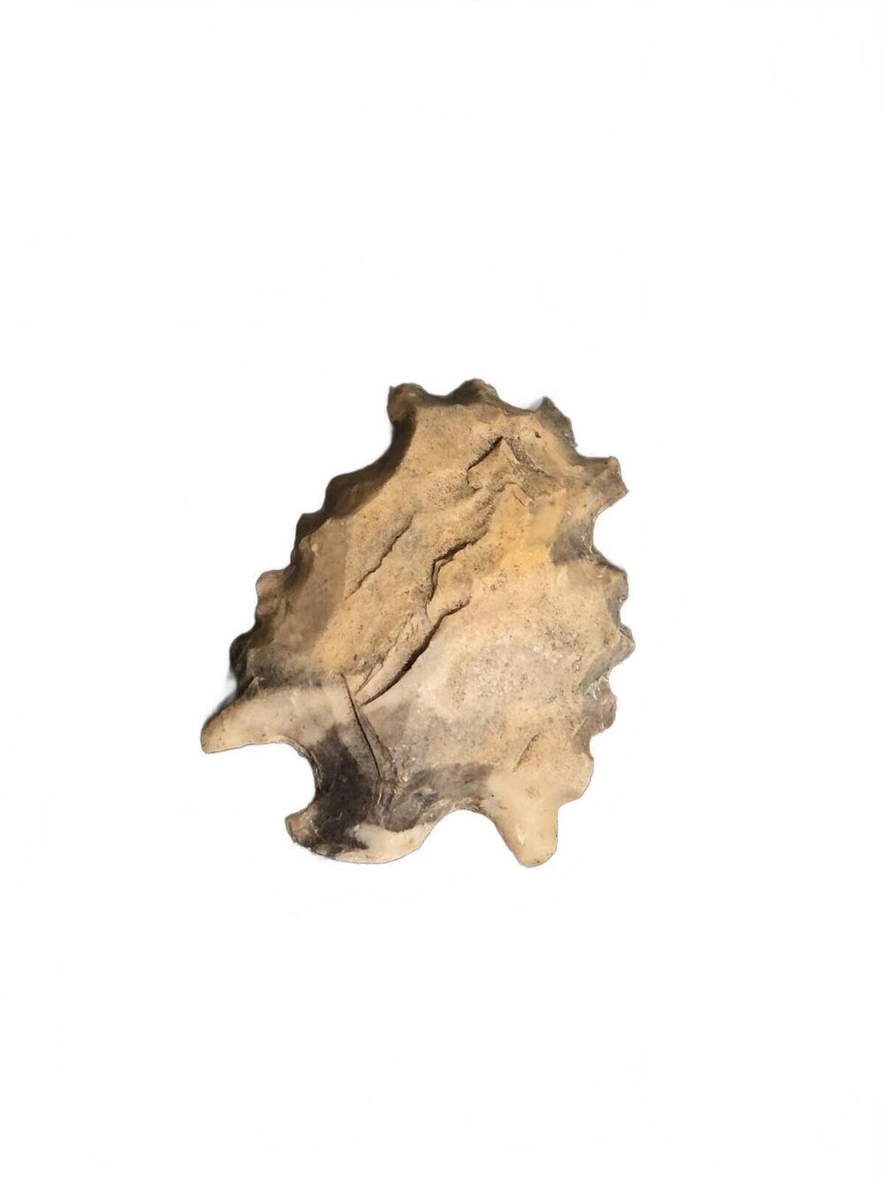 Authentic Stone Eccentric Artifact Indigenous Lithic Flaked Tool | Collectible